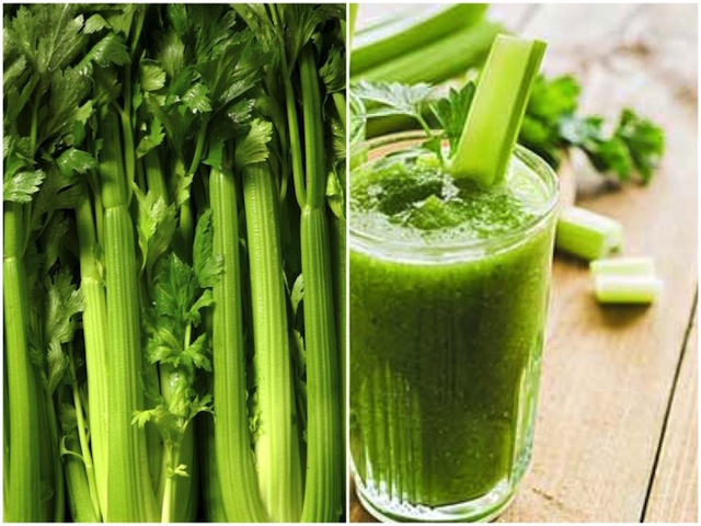 Seledri Sayur Ajaib Cegah Tulang Keropos, Nyeri Sendi sampai Kanker